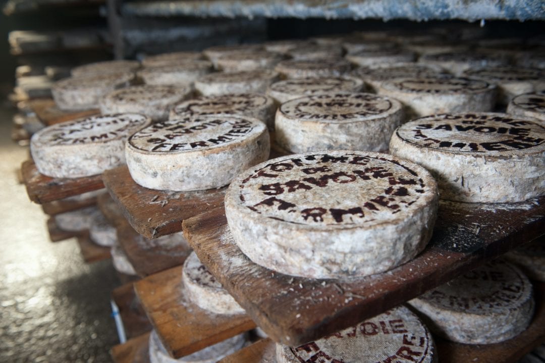 L'Europe fait face à un excédent de lait et de fromage - Unsplash